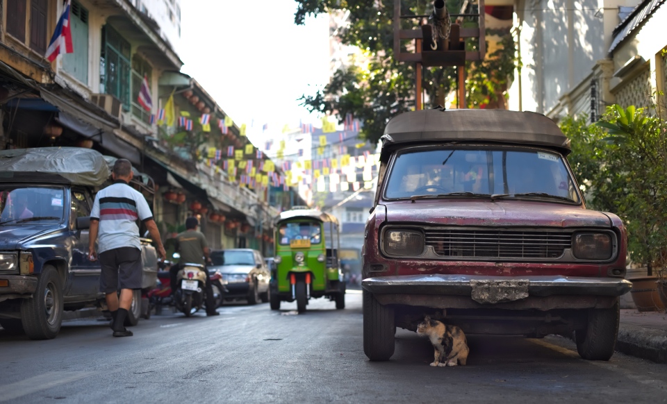 MD Rokkor 50mm F1.4によるタイの猫の写真